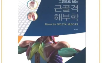 이게 가성비다 그림으로보는근골격해부학 베스트8