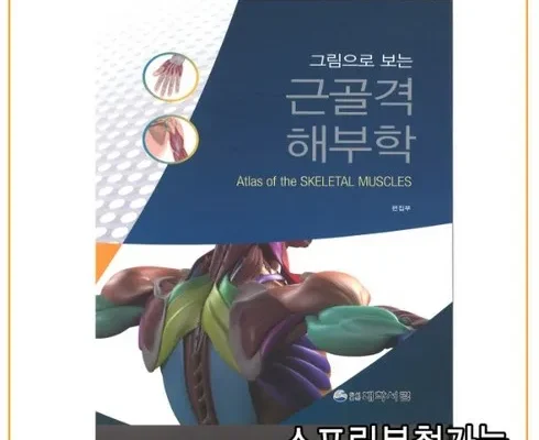 이게 가성비다 그림으로보는근골격해부학 베스트8