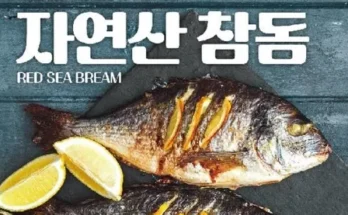 홈쇼핑 MD가 추천하는  국내산 반건조 참돔 300g7마리 베스트8