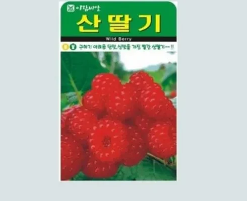 정말 놓치기 아까운 산딸기묘목 추천상품