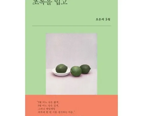 방송인기상품 초록을입고 추천상품