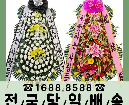 백화점에서 난리난 화환근조화환개업화분굿 추천드립니다