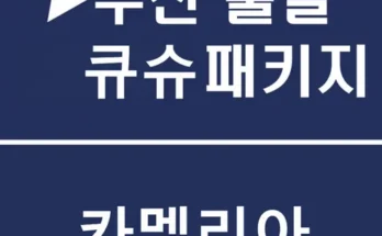 어제 살까 망설이던 후쿠오카배 추천상품