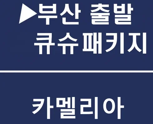 어제 살까 망설이던 후쿠오카배 추천상품